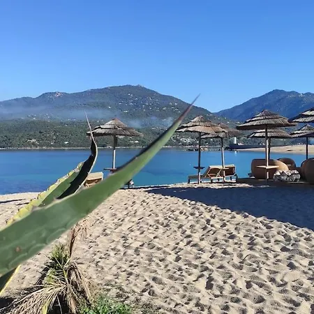شقة Climatisee Dans A 5 Minutes Des Plages A Pied *