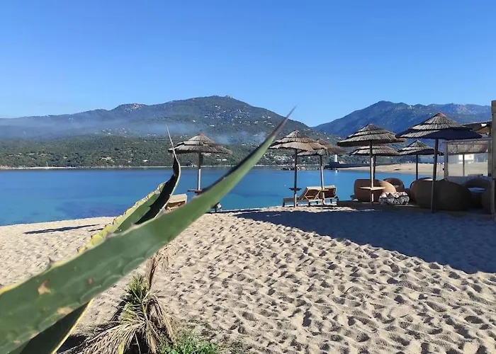 Apartmán Climatisee Dans A 5 Minutes Des Plages A Pied *